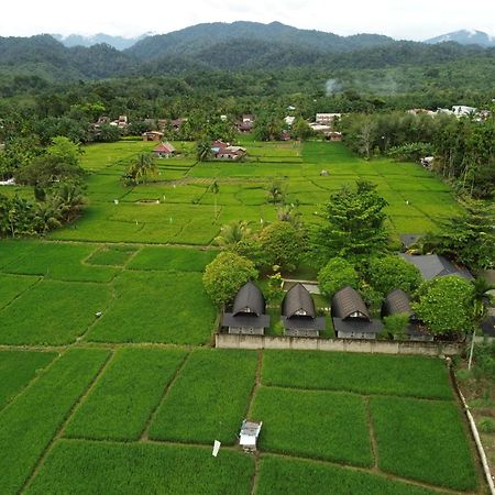 Gino'S Place - Guest House & Jungle Trekking Bukit Lawang Esterno foto