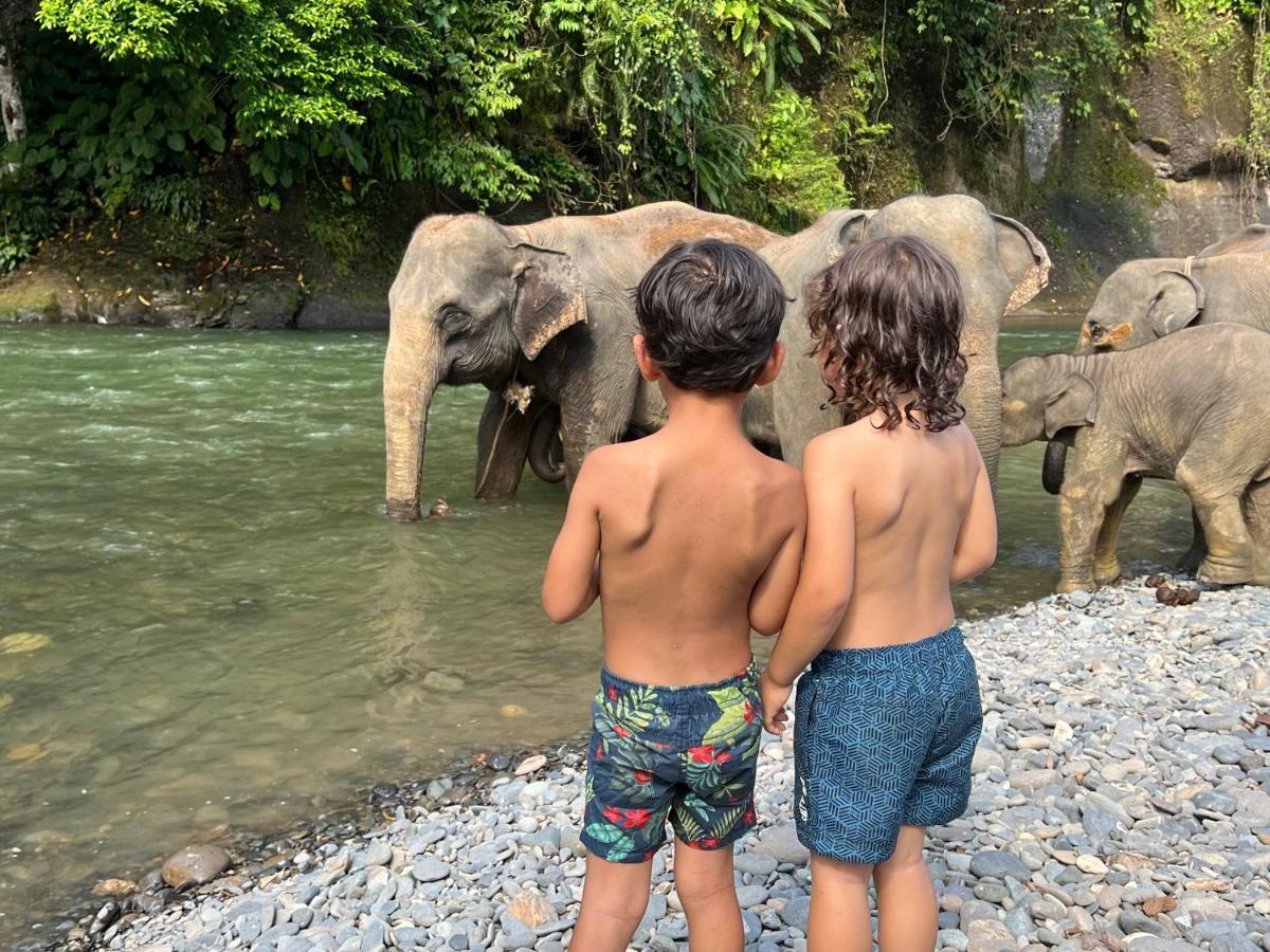Gino'S Place - Guest House & Jungle Trekking Bukit Lawang Esterno foto