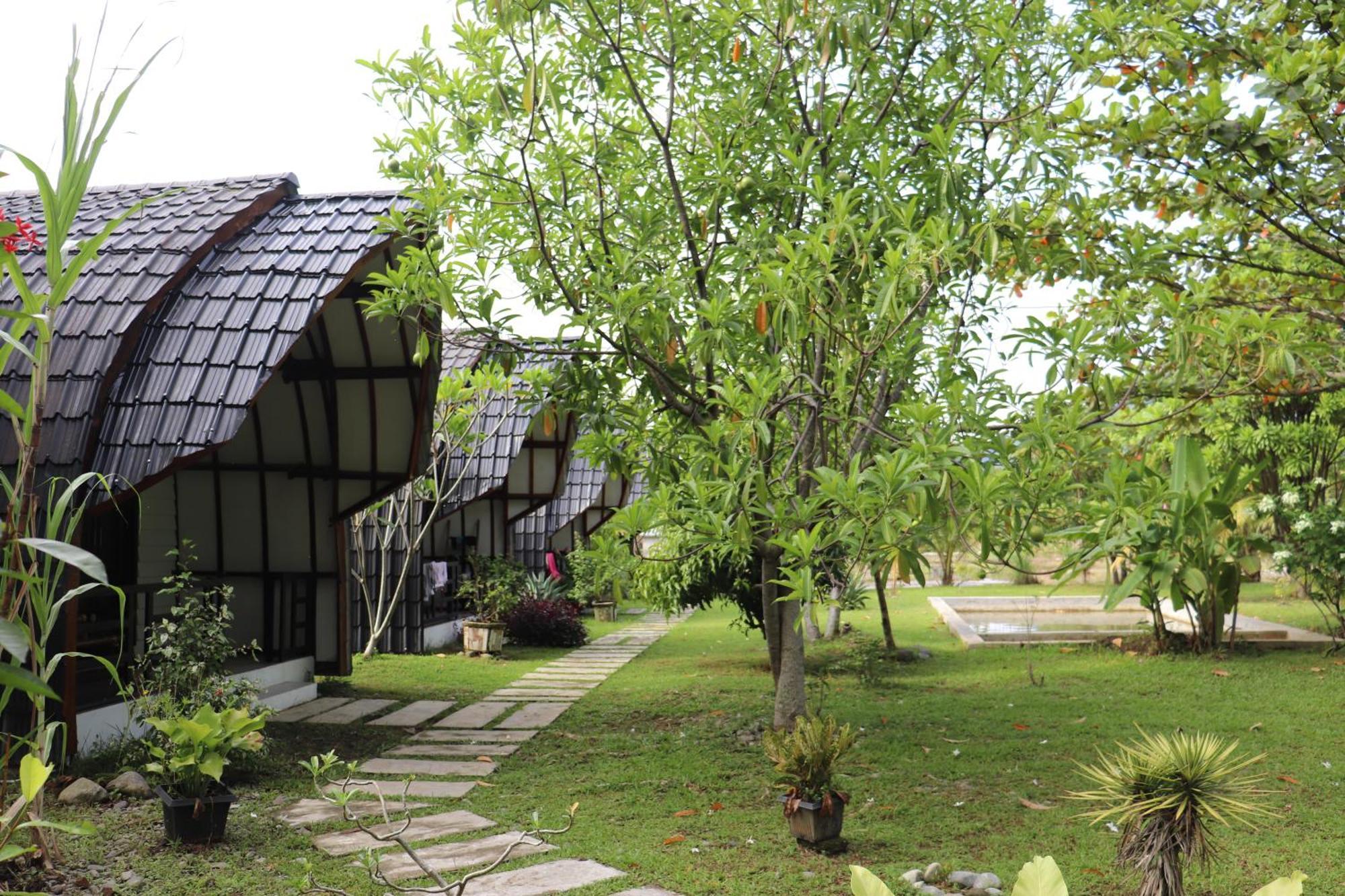 Gino'S Place - Guest House & Jungle Trekking Bukit Lawang Esterno foto
