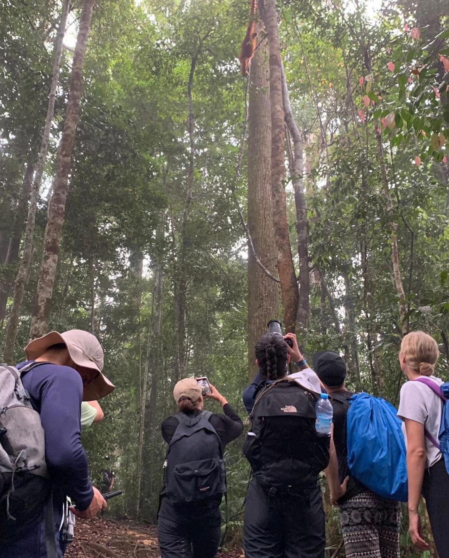 Gino'S Place - Guest House & Jungle Trekking Bukit Lawang Esterno foto
