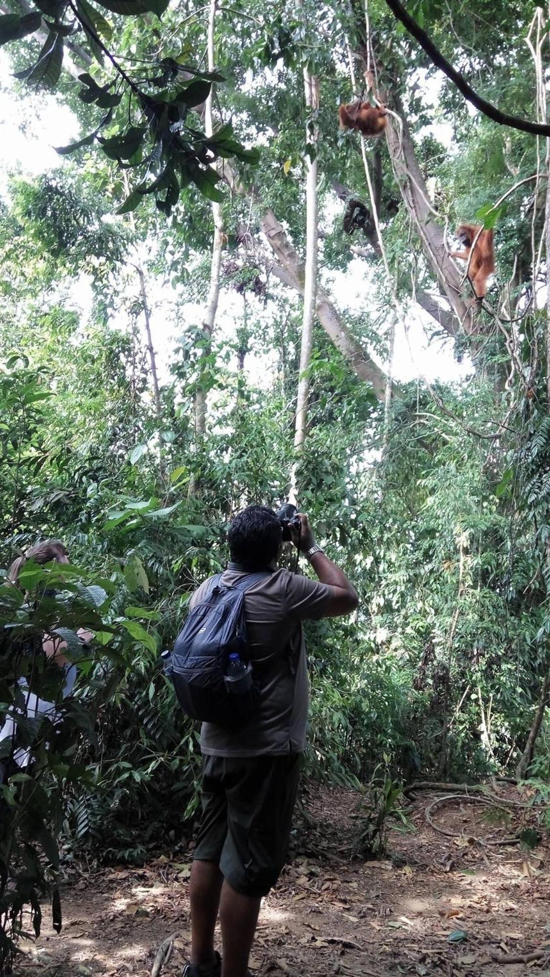 Gino'S Place - Guest House & Jungle Trekking Bukit Lawang Esterno foto
