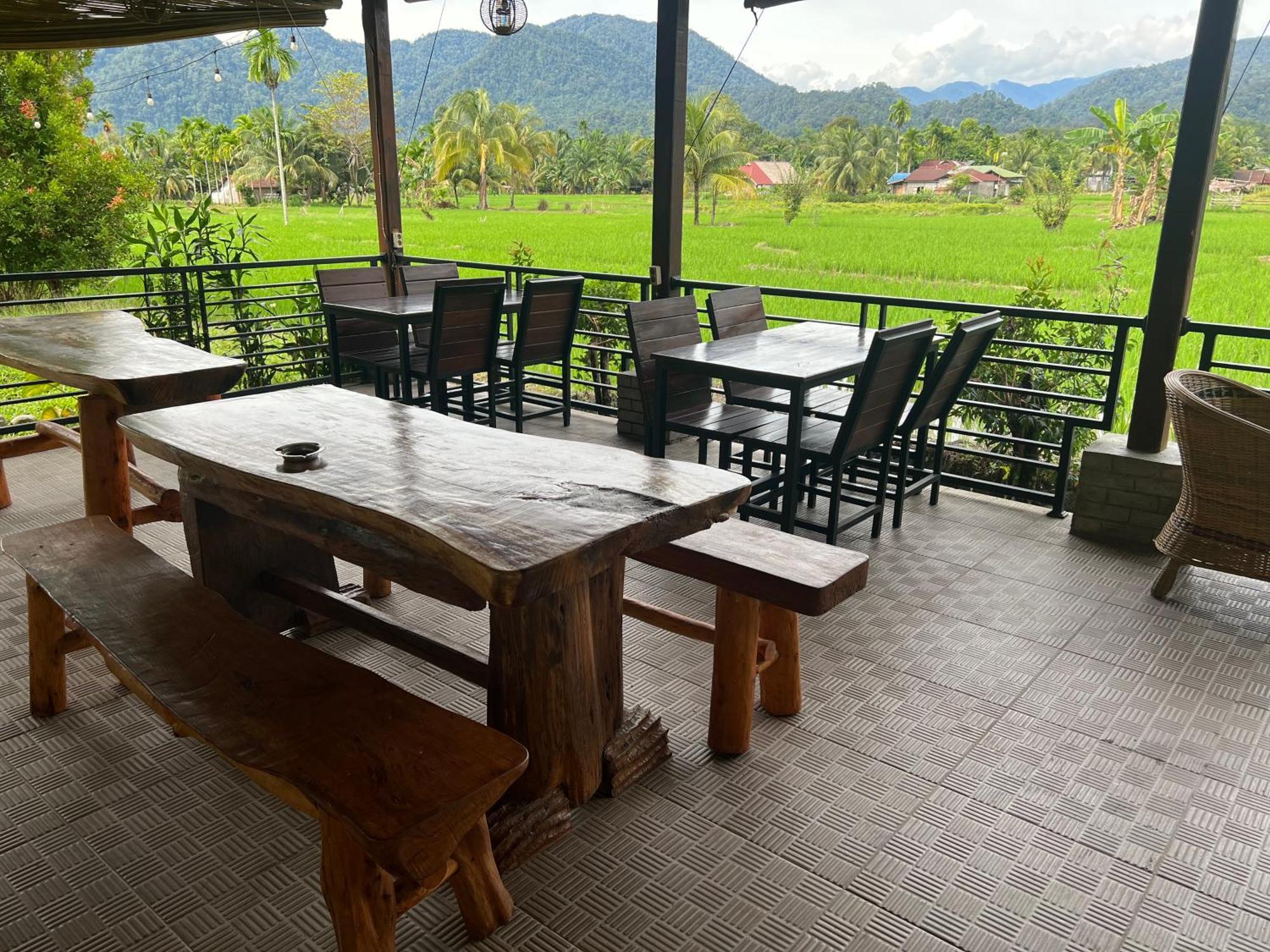 Gino'S Place - Guest House & Jungle Trekking Bukit Lawang Esterno foto