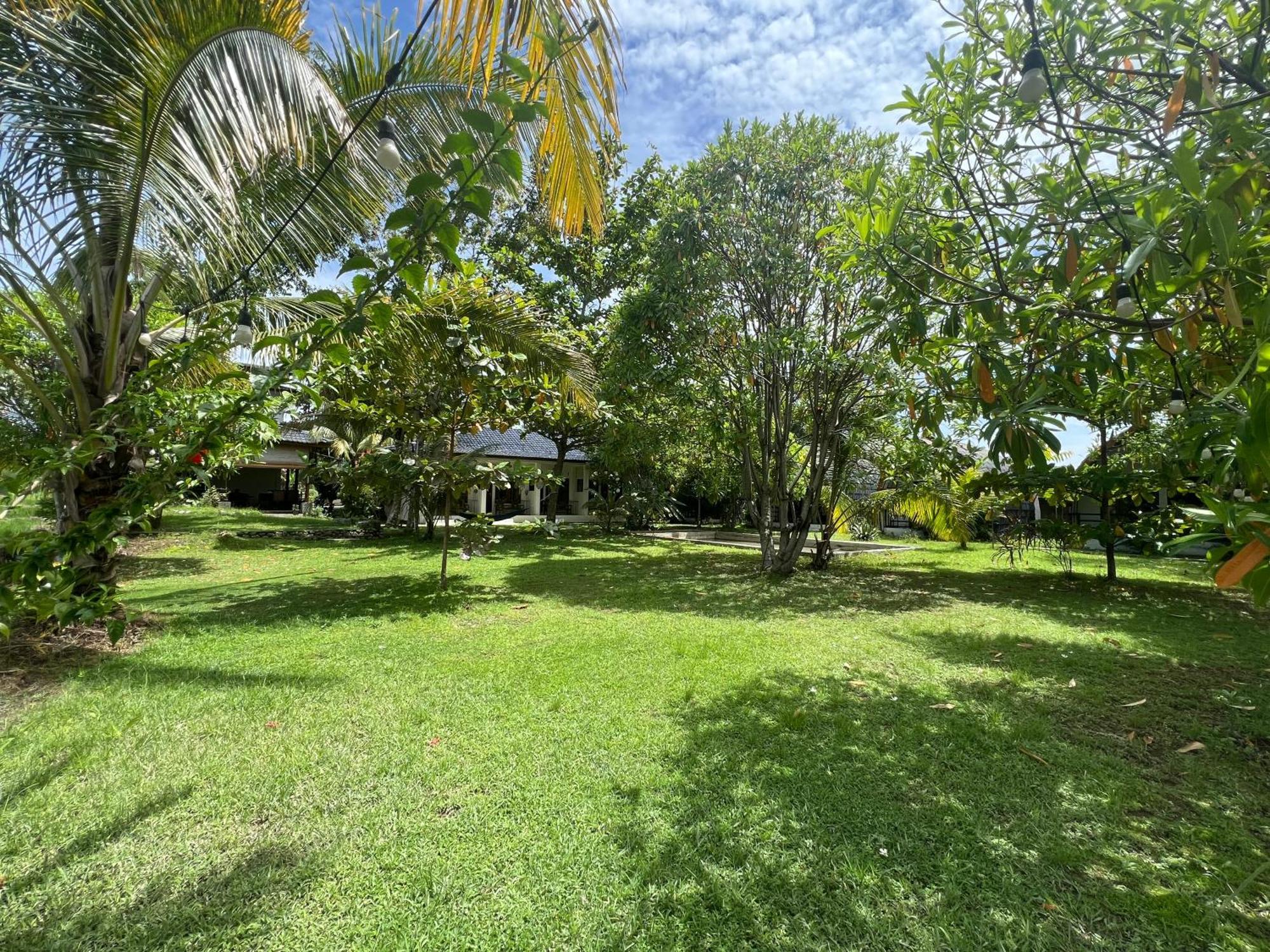 Gino'S Place - Guest House & Jungle Trekking Bukit Lawang Esterno foto