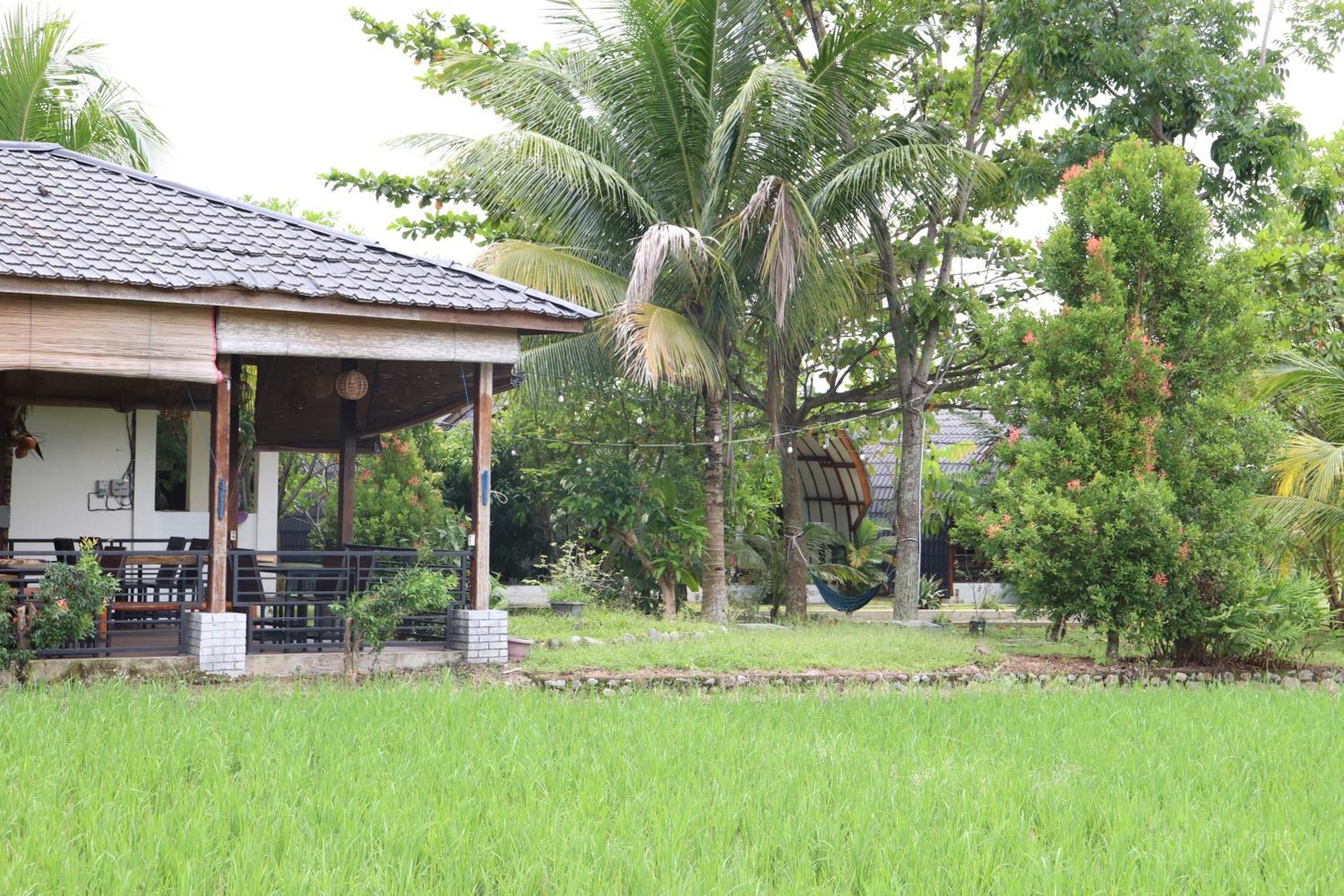 Gino'S Place - Guest House & Jungle Trekking Bukit Lawang Esterno foto