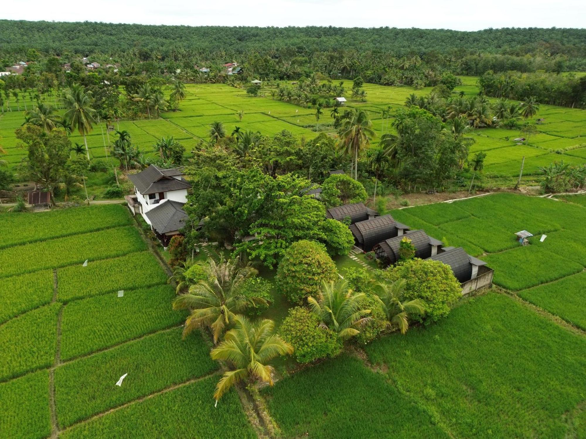 Gino'S Place - Guest House & Jungle Trekking Bukit Lawang Esterno foto