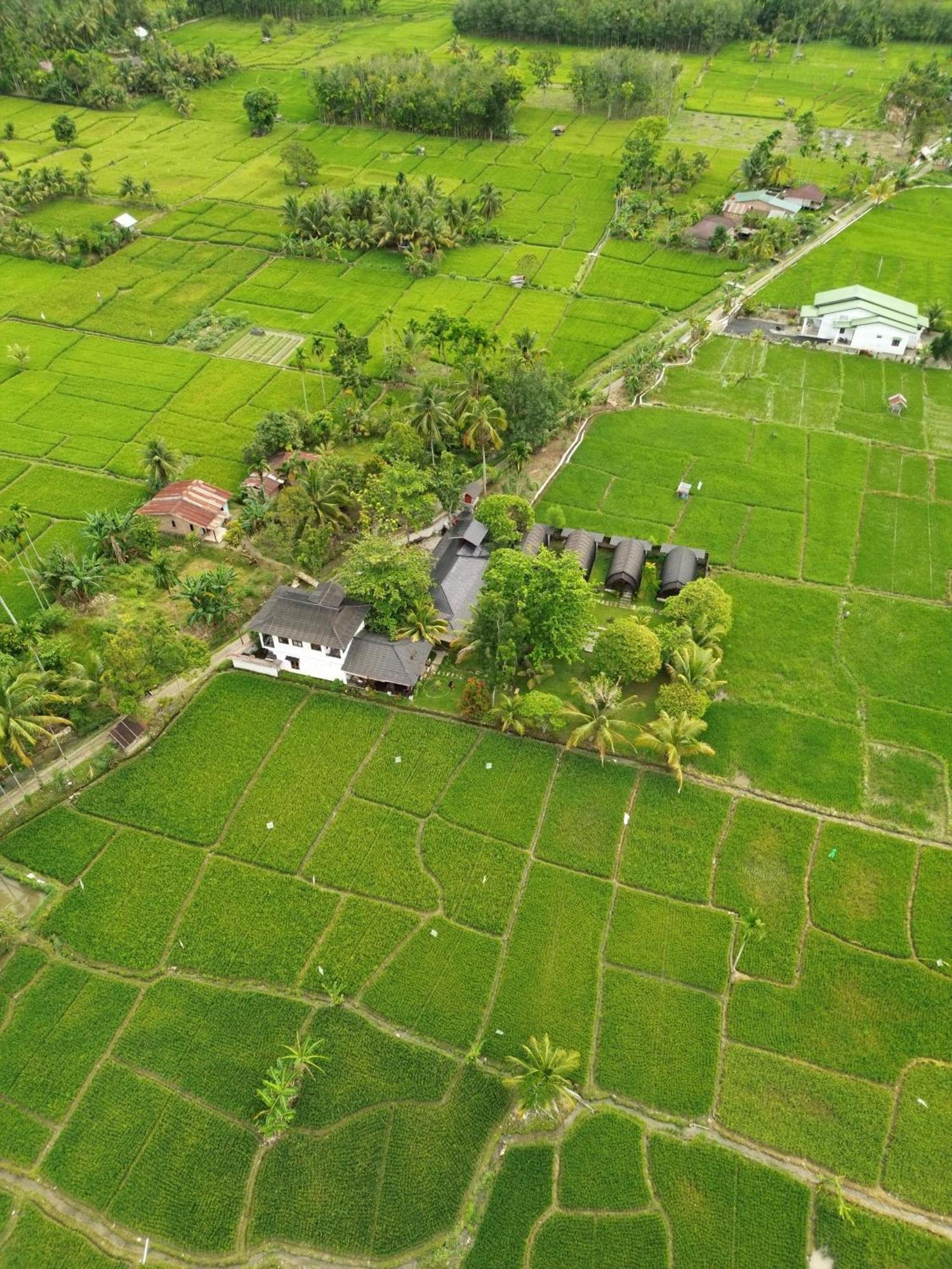 Gino'S Place - Guest House & Jungle Trekking Bukit Lawang Esterno foto