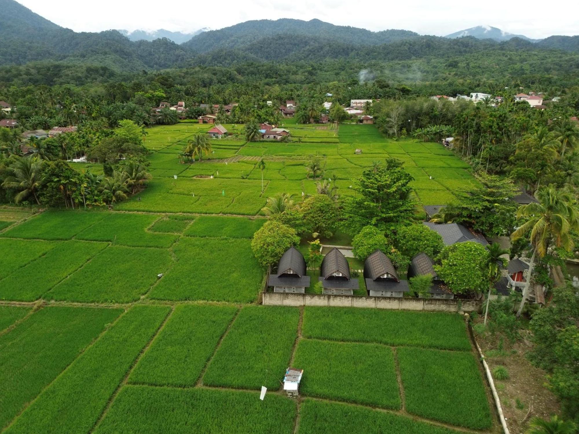 Gino'S Place - Guest House & Jungle Trekking Bukit Lawang Esterno foto